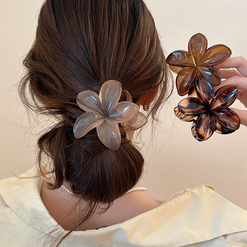 Pinces à cheveux légères en pl - Hair Clip Claw Large avis et prix