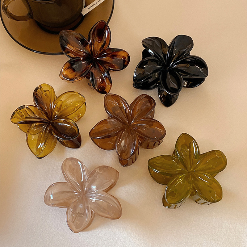 Pinces à cheveux légères en pl - Hair Clip Claw Large avis et prix